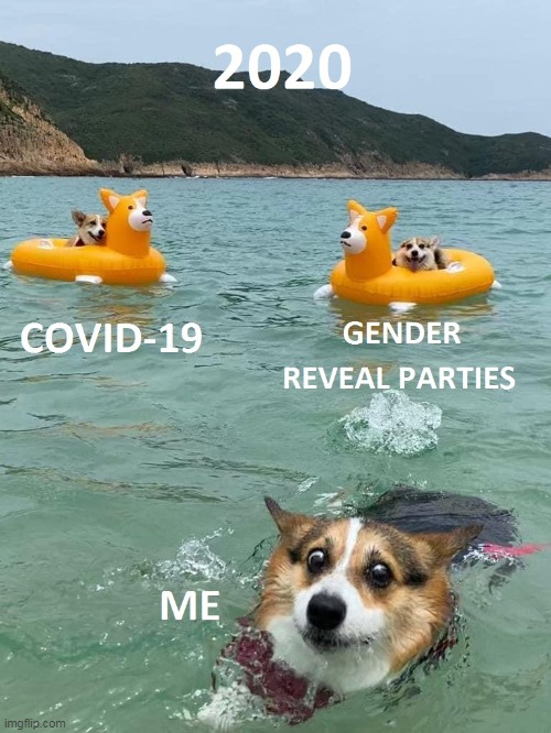 2020 | image tagged in corgi,dogs,funny,ocean,2020,covid19 | made w/ Imgflip meme maker