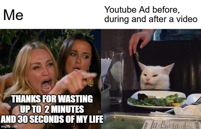 Thanks for wasting | Me; Youtube Ad before, during and after a video; THANKS FOR WASTING UP TO  2 MINUTES AND 30 SECONDS OF MY LIFE | image tagged in memes,woman yelling at cat | made w/ Imgflip meme maker