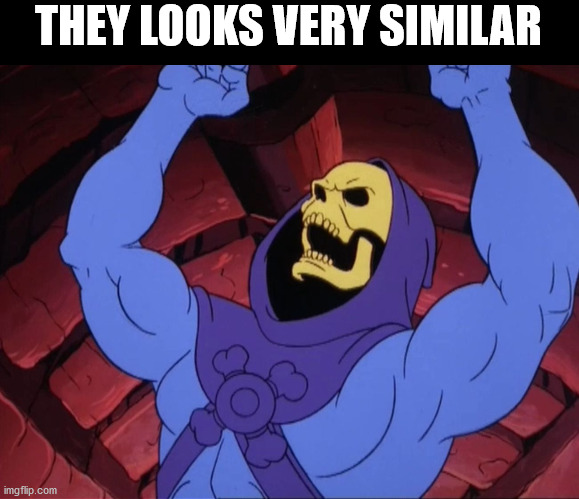 Skeletor | THEY LOOKS VERY SIMILAR | image tagged in skeletor | made w/ Imgflip meme maker