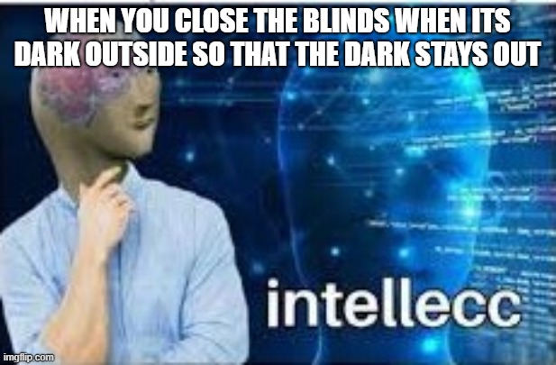 intellecc | WHEN YOU CLOSE THE BLINDS WHEN ITS DARK OUTSIDE SO THAT THE DARK STAYS OUT | image tagged in intellecc | made w/ Imgflip meme maker