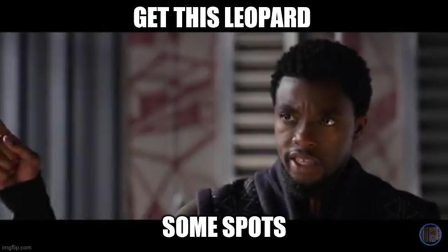Black Panther - Get this man a shield | GET THIS LEOPARD; SOME SPOTS | image tagged in black panther - get this man a shield | made w/ Imgflip meme maker