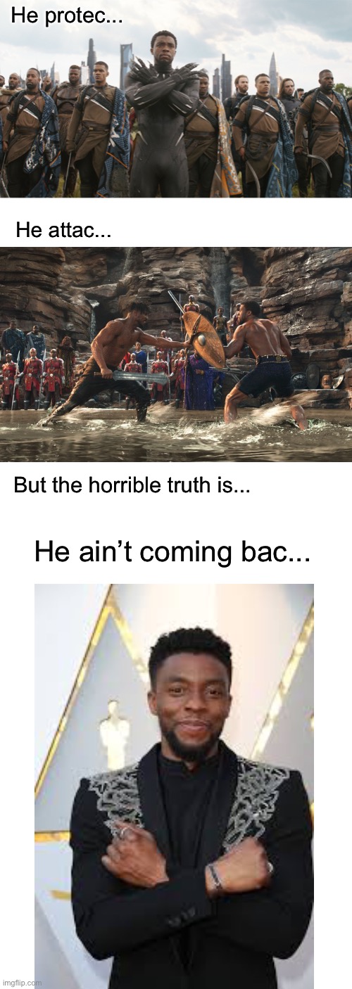 Very late but RIP | He protec... He attac... But the horrible truth is... He ain’t coming bac... | image tagged in blank white template,rip | made w/ Imgflip meme maker