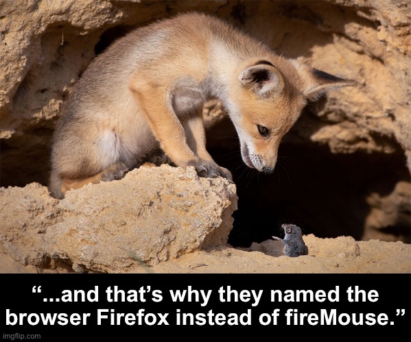 What Will the Fox Say? | “...and that’s why they named the browser Firefox instead of fireMouse.” | image tagged in funny memes,fox,mouse,firefox | made w/ Imgflip meme maker