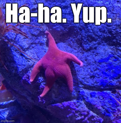 Ha-ha. Yup. | made w/ Imgflip meme maker