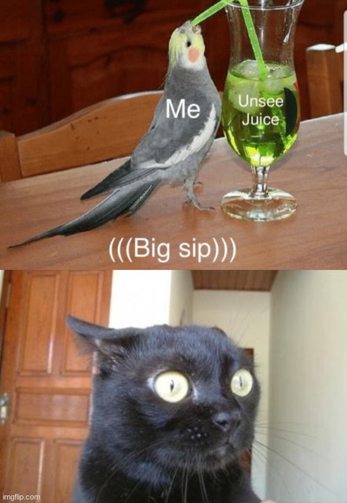 image tagged in cannot be unseen cat,unsee juice | made w/ Imgflip meme maker