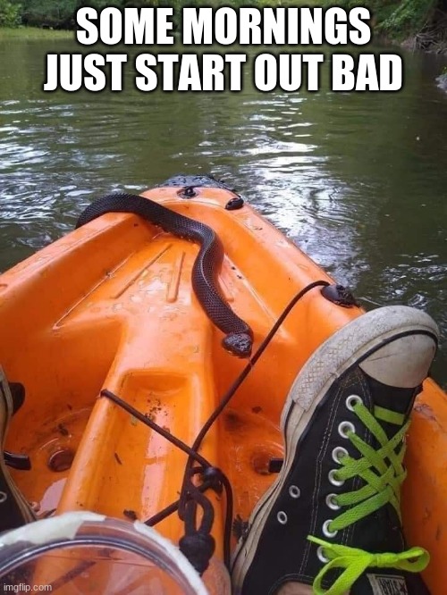 Is that a gator behind um? | SOME MORNINGS JUST START OUT BAD | image tagged in water moccasin,bad morning,easy boy,lake life,kayak for health,i need to change my clothes | made w/ Imgflip meme maker