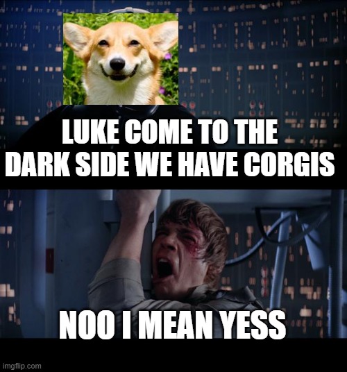 Star Corgi |  LUKE COME TO THE DARK SIDE WE HAVE CORGIS; NOO I MEAN YESS | image tagged in memes,star wars no | made w/ Imgflip meme maker