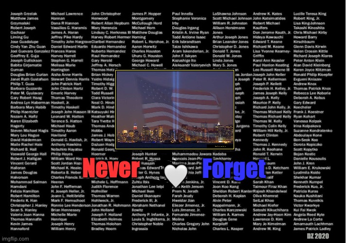 Never Forget | Forget; 🤍; Never; DZ 2020 | image tagged in heroes,9/11,911 9/11 twin towers impact,remember | made w/ Imgflip meme maker