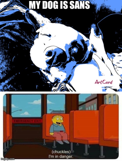 My dog be looking like sans rn | MY DOG IS SANS | image tagged in ralph in danger,sans | made w/ Imgflip meme maker
