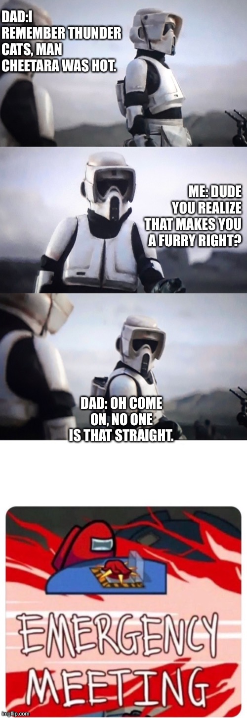 An actual conversation I’ve had. | DAD:I REMEMBER THUNDER CATS, MAN CHEETARA WAS HOT. ME: DUDE YOU REALIZE THAT MAKES YOU A FURRY RIGHT? DAD: OH COME ON, NO ONE IS THAT STRAIGHT. | image tagged in storm trooper conversation,emergency meeting among us | made w/ Imgflip meme maker