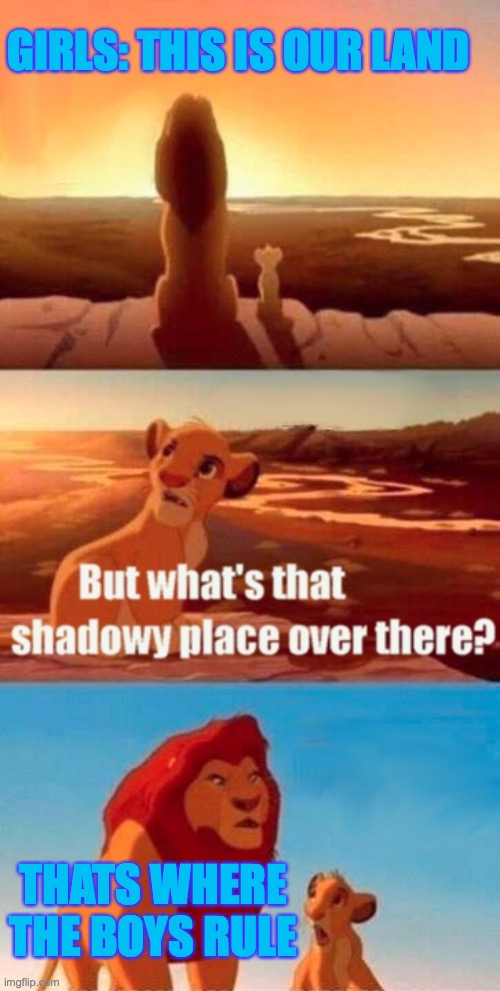 Simba Shadowy Place Meme | GIRLS: THIS IS OUR LAND; THATS WHERE THE BOYS RULE | image tagged in memes,simba shadowy place | made w/ Imgflip meme maker