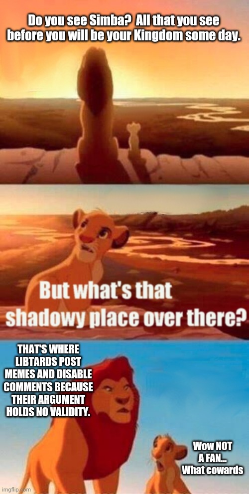 Democrats can't handle debates - that's why their comments sections are usually disabled. | Do you see Simba?  All that you see before you will be your Kingdom some day. THAT'S WHERE LIBTARDS POST MEMES AND DISABLE COMMENTS BECAUSE THEIR ARGUMENT HOLDS NO VALIDITY. Wow NOT A FAN... What cowards | image tagged in memes,simba shadowy place | made w/ Imgflip meme maker