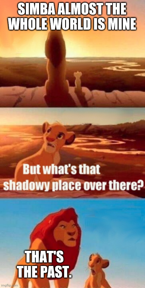 Simba Shadowy Place | SIMBA ALMOST THE WHOLE WORLD IS MINE; THAT'S THE PAST. | image tagged in memes,simba shadowy place | made w/ Imgflip meme maker