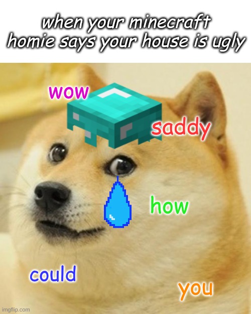 Doge Meme | when your minecraft homie says your house is ugly; wow; saddy; how; could; you | image tagged in memes,doge | made w/ Imgflip meme maker
