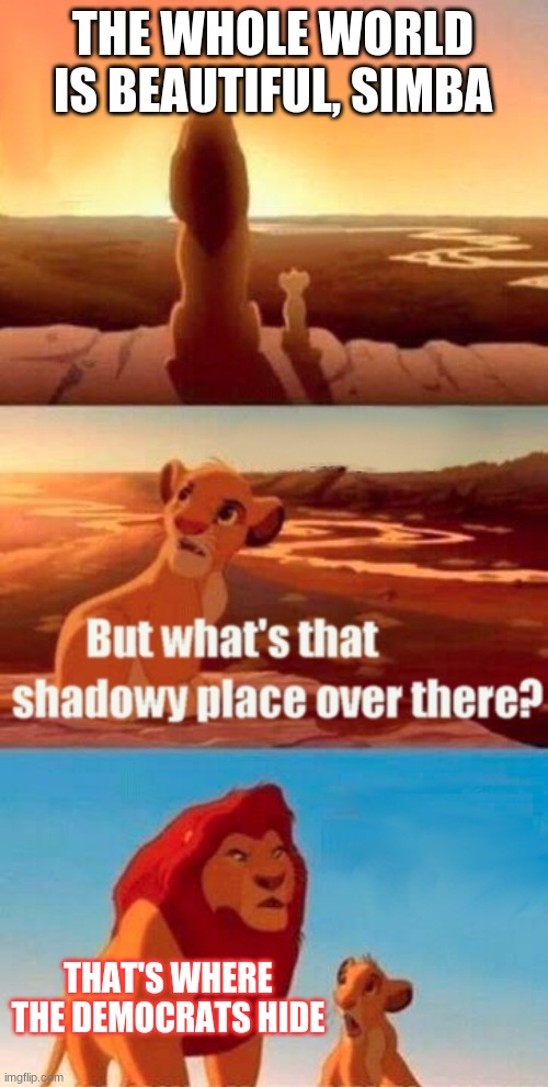 And that's where the democrats hide | THE WHOLE WORLD IS BEAUTIFUL, SIMBA; THAT'S WHERE THE DEMOCRATS HIDE | image tagged in memes,simba shadowy place | made w/ Imgflip meme maker