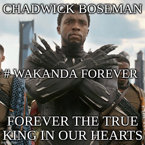Wakanda Forever | CHADWICK BOSEMAN; # WAKANDA FOREVER; FOREVER THE TRUE KING IN OUR HEARTS | image tagged in wakanda forever | made w/ Imgflip meme maker