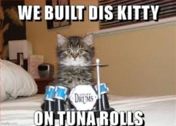 We built this Kitty... | image tagged in cats,band,rock and roll | made w/ Imgflip meme maker