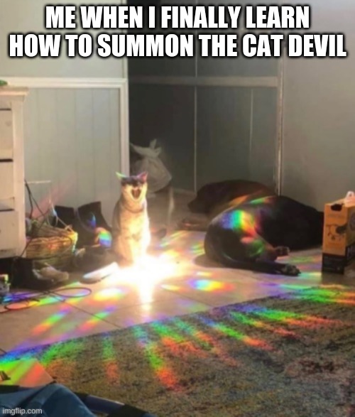 ME WHEN I FINALLY LEARN HOW TO SUMMON THE CAT DEVIL | image tagged in summoning jutsu,cat devil,reeee | made w/ Imgflip meme maker