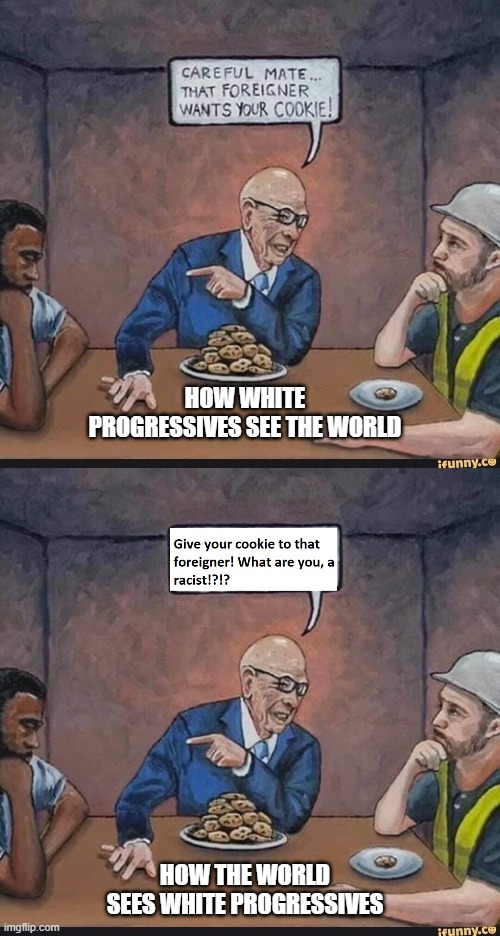 Progressive cookies | HOW WHITE PROGRESSIVES SEE THE WORLD; HOW THE WORLD SEES WHITE PROGRESSIVES | image tagged in woke,progressive,racism,racist,white | made w/ Imgflip meme maker