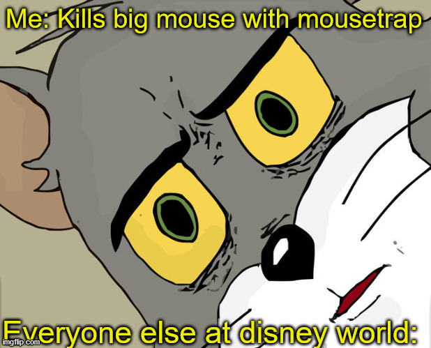 Unsettled Tom | Me: Kills big mouse with mousetrap; Everyone else at disney world: | image tagged in memes,unsettled tom | made w/ Imgflip meme maker