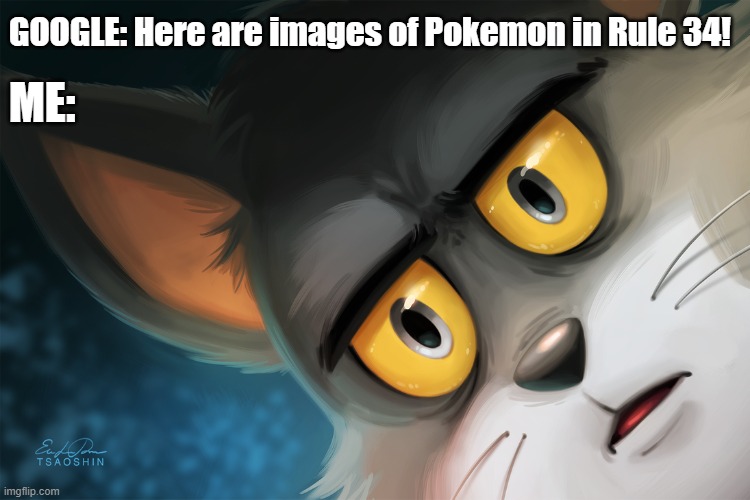 Unsettled Tom Stylized | GOOGLE: Here are images of Pokemon in Rule 34! ME: | image tagged in unsettled tom stylized | made w/ Imgflip meme maker