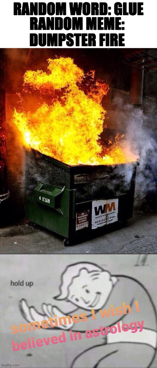 sometimes I wish I believed in astrology Blank Meme Template