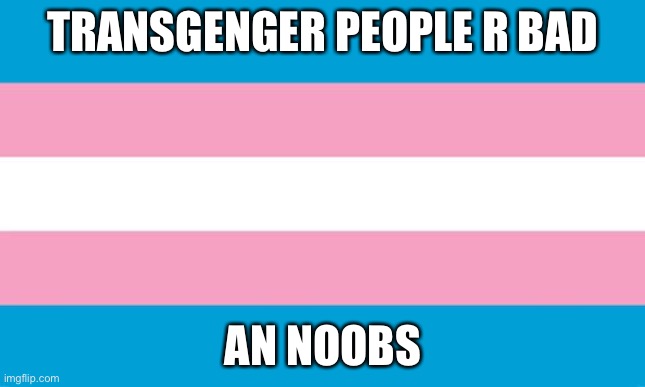 NOOBS | TRANSGENGER PEOPLE R BAD; AN NOOBS | image tagged in transgender flag | made w/ Imgflip meme maker