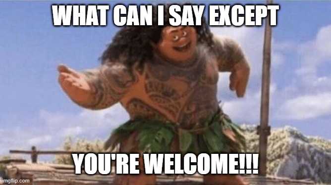 what can i say except you're welcome | image tagged in what can i say except you're welcome | made w/ Imgflip meme maker
