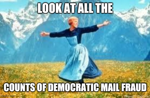 Politics and stuff | LOOK AT ALL THE; COUNTS OF DEMOCRATIC MAIL FRAUD | image tagged in memes,look at all these | made w/ Imgflip meme maker