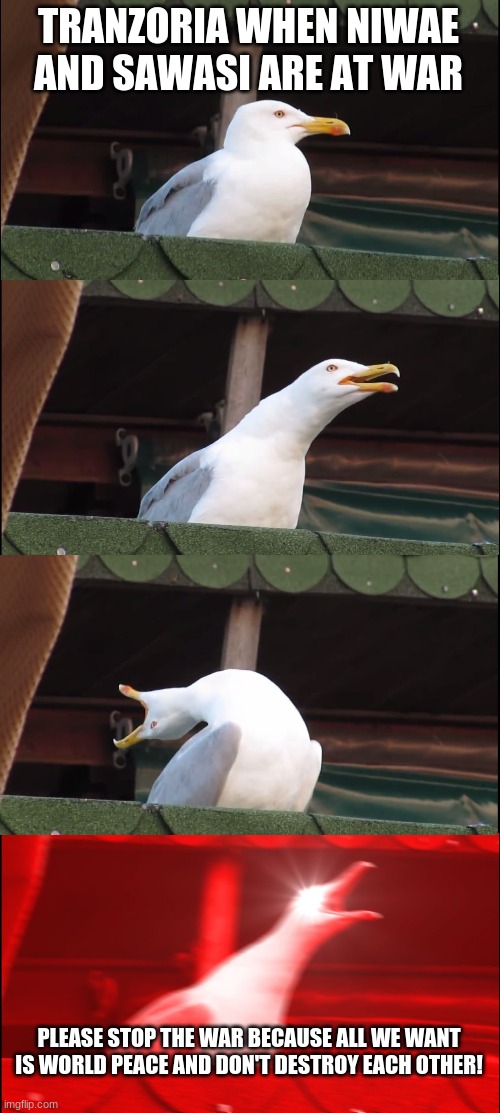 Inhaling Seagull Meme | TRANZORIA WHEN NIWAE AND SAWASI ARE AT WAR; PLEASE STOP THE WAR BECAUSE ALL WE WANT IS WORLD PEACE AND DON'T DESTROY EACH OTHER! | image tagged in memes,inhaling seagull | made w/ Imgflip meme maker