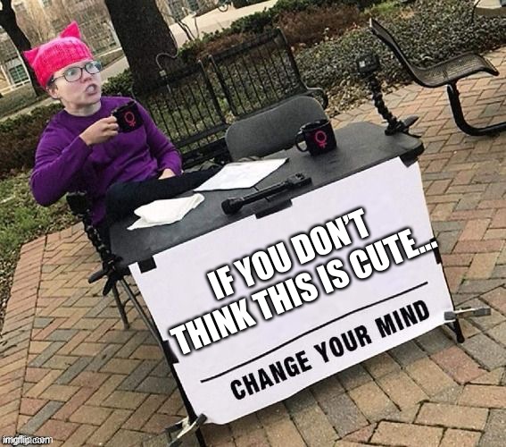 Change YOUR mind! | IF YOU DON’T THINK THIS IS CUTE... | image tagged in change your mind | made w/ Imgflip meme maker
