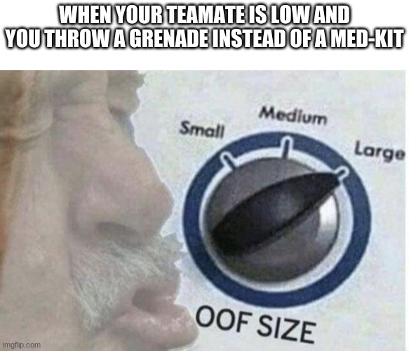 Oof size large | WHEN YOUR TEAMATE IS LOW AND YOU THROW A GRENADE INSTEAD OF A MED-KIT | image tagged in oof size large | made w/ Imgflip meme maker