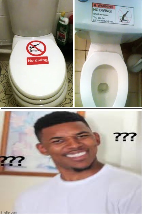 no diving | image tagged in memes,blank comic panel 1x2,toilet | made w/ Imgflip meme maker