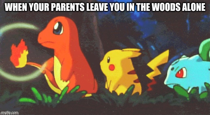 Poke Woods | WHEN YOUR PARENTS LEAVE YOU IN THE WOODS ALONE | image tagged in pokemon | made w/ Imgflip meme maker