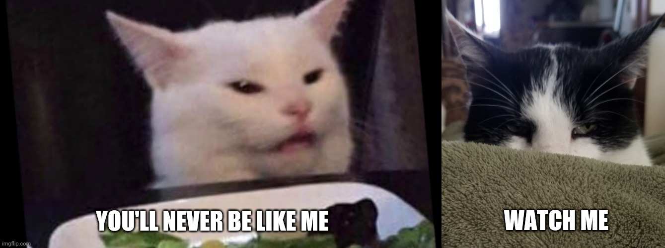 Smudge vs Elie | WATCH ME; YOU'LL NEVER BE LIKE ME | image tagged in funny memes,cats | made w/ Imgflip meme maker