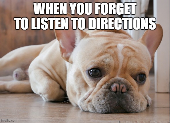 WHEN YOU FORGET TO LISTEN TO DIRECTIONS | made w/ Imgflip meme maker