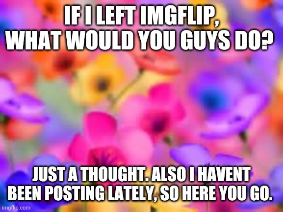 Yeah I know, 3 people already asked this. | IF I LEFT IMGFLIP, WHAT WOULD YOU GUYS DO? JUST A THOUGHT. ALSO I HAVENT BEEN POSTING LATELY, SO HERE YOU GO. | image tagged in flowers | made w/ Imgflip meme maker