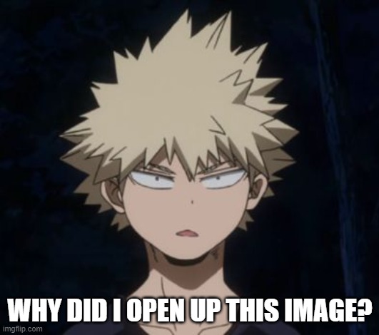 Bakugo's Huh? | WHY DID I OPEN UP THIS IMAGE? | image tagged in bakugo's huh | made w/ Imgflip meme maker