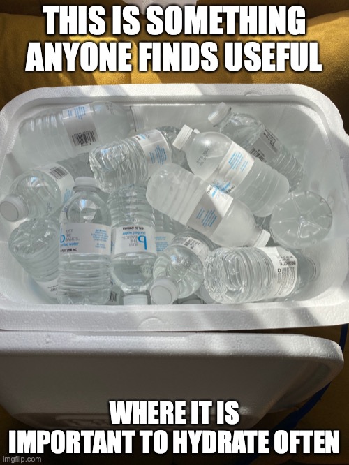 Water Bottles | THIS IS SOMETHING ANYONE FINDS USEFUL; WHERE IT IS IMPORTANT TO HYDRATE OFTEN | image tagged in water bottle,memes | made w/ Imgflip meme maker