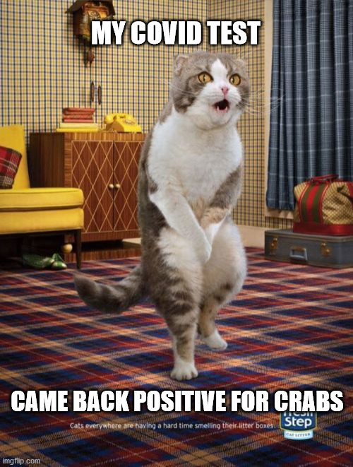 Gotta Go Cat Meme | MY COVID TEST; CAME BACK POSITIVE FOR CRABS | image tagged in memes,gotta go cat | made w/ Imgflip meme maker