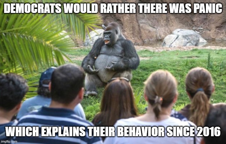 ted talk gorilla | DEMOCRATS WOULD RATHER THERE WAS PANIC WHICH EXPLAINS THEIR BEHAVIOR SINCE 2016 | image tagged in ted talk gorilla | made w/ Imgflip meme maker