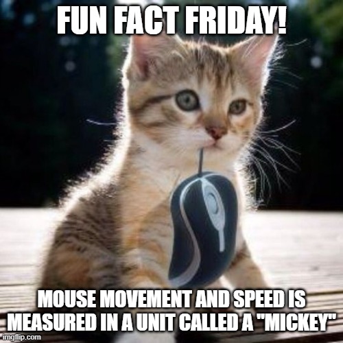 "Mickey" Mouse | FUN FACT FRIDAY! MOUSE MOVEMENT AND SPEED IS MEASURED IN A UNIT CALLED A "MICKEY" | image tagged in cat with computer mouse | made w/ Imgflip meme maker