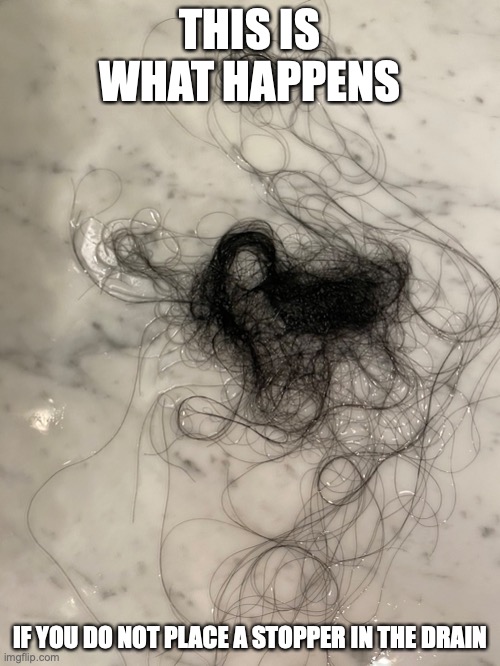 Pile of Hair | THIS IS WHAT HAPPENS; IF YOU DO NOT PLACE A STOPPER IN THE DRAIN | image tagged in hair,memes | made w/ Imgflip meme maker