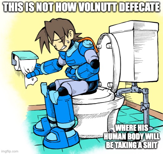 Volnutt on the Toliet | THIS IS NOT HOW VOLNUTT DEFECATE; WHERE HIS HUMAN BODY WILL BE TAKING A SHIT | image tagged in megaman,megaman legends,memes,toliet,volnutt | made w/ Imgflip meme maker