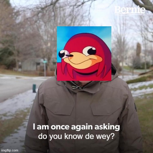 Do you know de wey? | do you know de wey? | image tagged in memes,bernie i am once again asking for your support,ugandan knuckles,bring back the meme | made w/ Imgflip meme maker