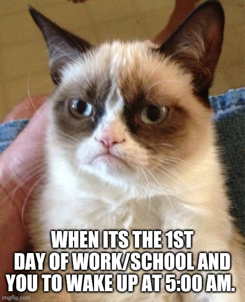 Grumpy Cat | WHEN ITS THE 1ST DAY OF WORK/SCHOOL AND YOU TO WAKE UP AT 5:00 AM. | image tagged in memes,grumpy cat | made w/ Imgflip meme maker