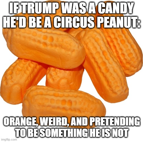 Trump is a circus peanut | IF TRUMP WAS A CANDY HE'D BE A CIRCUS PEANUT:; ORANGE, WEIRD, AND PRETENDING TO BE SOMETHING HE IS NOT | image tagged in fake president | made w/ Imgflip meme maker