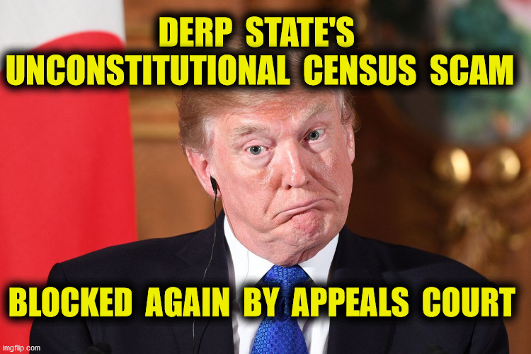 Preserve, protect and defend the Constitution of the United States | DERP  STATE'S  UNCONSTITUTIONAL  CENSUS  SCAM; BLOCKED  AGAIN  BY  APPEALS  COURT | image tagged in census,trump pence 2020,court,derp state,constitution,memes | made w/ Imgflip meme maker