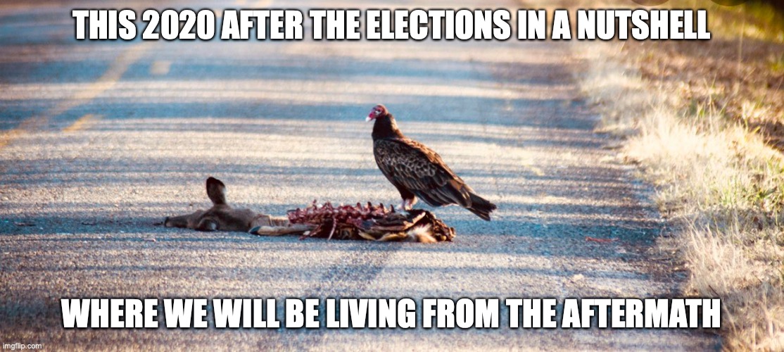 Vulture With Carcass | THIS 2020 AFTER THE ELECTIONS IN A NUTSHELL; WHERE WE WILL BE LIVING FROM THE AFTERMATH | image tagged in vulture,carcass,memes | made w/ Imgflip meme maker