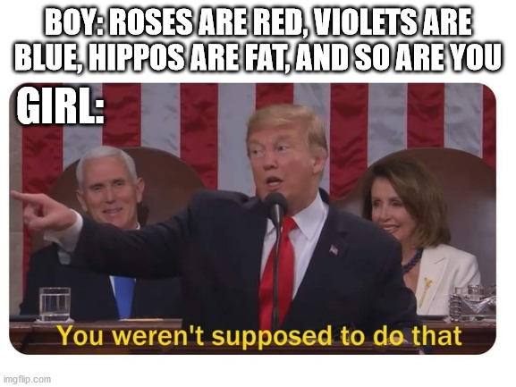 BOY: ROSES ARE RED, VIOLETS ARE BLUE, HIPPOS ARE FAT, AND SO ARE YOU GIRL: | made w/ Imgflip meme maker